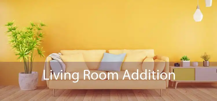 Living Room Addition 